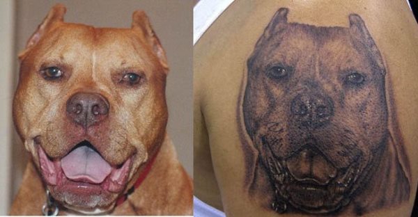 Si quieres tatuajes realistas, aquí te presentamos uno, el dueño de este animal ha querido que su mejor amigo siempre esté con él y para ello se lo ha tatuado, dejando en la piel muestra de cada detalle del perro de presa