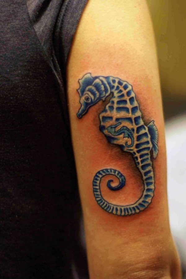 En tonos azules y blancos en el brazo de un hombre se ha tatuado un caballito de mar de un tamaño considerable y que si decide seguir completándolo con un gran fondo de oleajes y otros animales marinos, le quedará un brazo espectacular