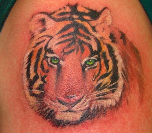 Tatuaje de un tigre con ojos verdes en el que los pelos están muy bien cosenguidos, al igual que los colores del tatuaje, un buen trabajo para un tatuaje muy clásico y que no pasa de moda, por lo que si es tu idea, aquí tienes un ejemplo