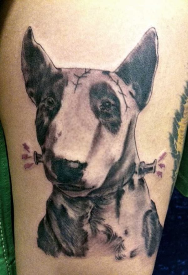 Tatuaje de un perro bullterrier, al que se le ha dibujado cun colgante muy raro, no nos gusta de este tatuaje que se lah añadido unas cicatrices al perro y no nos gustan los perros a los que se les ha herido