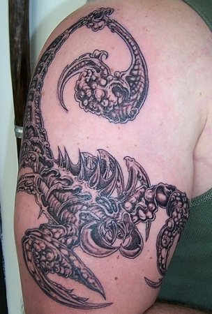En realidad no estoy seguro que este ser sea un escorpin pero la he querido incluir porque quizs a alguno de nuestros usuarios le gusta y decide tatuarse esto En realidad no estoy seguro que este ser sea un escorpin pero la he querido incluir porque quizs a alguno de nuestros usuarios le gusta y decide tatuarse esto