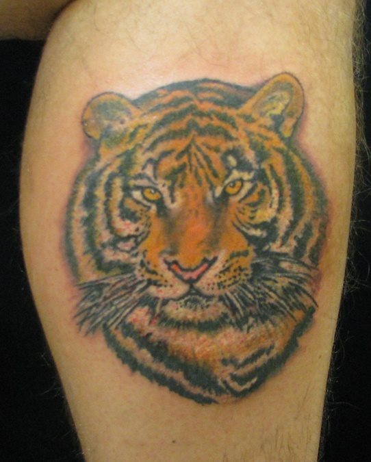 Un tatuaje de un tigre del que no podemos destacar grandes detalles porque no es un trabajo de diez y si no, juzguen ustedes mismos, a nosotros nos parece que a este tattoo se le podría haber sacado mucho más jugo y podría haber estado mucho mejor dibujado