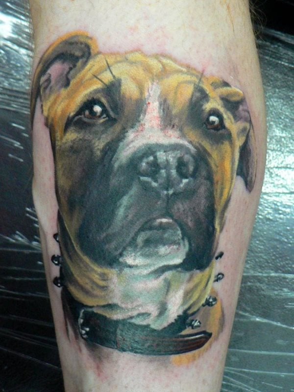 Tatuaje en la pierna de un perro de raza desconocida, del que nos gustaría destacar el gran brillo conseguido en los ojos y el bonito colorido que se ha sabido plasmar en el tatuaje, sin duda, uno de los tatuajes de perros más bonitos que hemos visto en nuestra galería