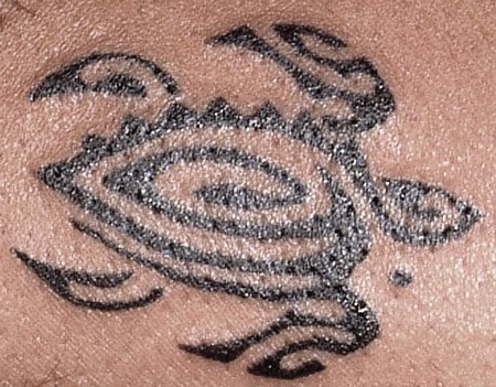 Tatuaje de una tortuga tribal y de tamaño pequeño que ha quedado bastante bien sombre la piel de esta persona, pero que seguramente necesite de algunos retoques en los próximos años