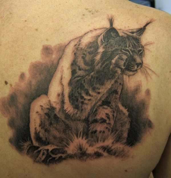 Tatuaje de lo que parece un lince sentado con una pata levantada, un peculiar tatuaje animal, ya que no solemos ver este tipo de animales tatuados sobre la piel y eso es un gran acierto, porque la gente casi siempre recurre a animales más típicos