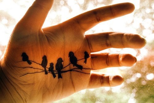 Una rama sobre la que descansan varios pájaros tatuada en la palma de la mano ha sido el motivo para este tatuaje