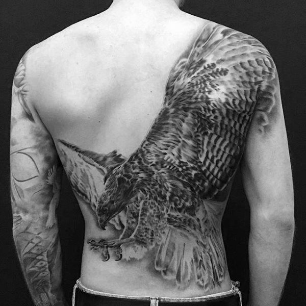 tatuaje halcon hawk para hombre 25