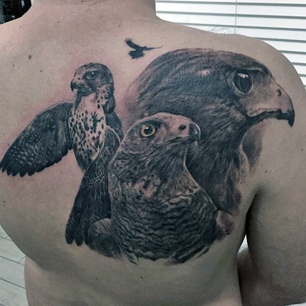 tatuaje halcon hawk para hombre 27