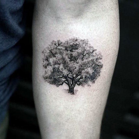 tatuaje perfecto arbol para hombre 01