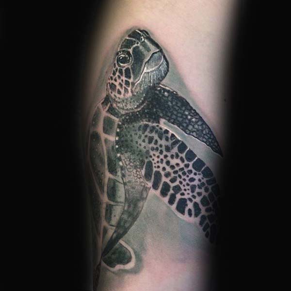 tatuaje tortuga para hombre 05