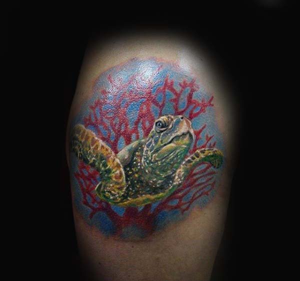 tatuaje tortuga para hombre 93