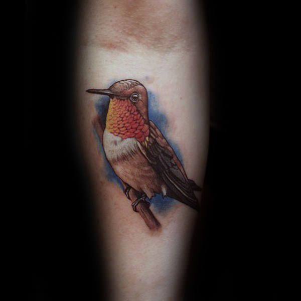 125 Tatuajes de brillantes colibris o picaflores