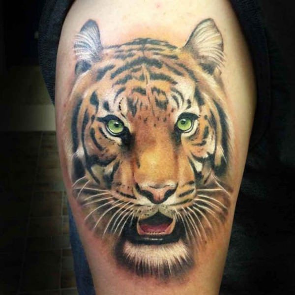 tatuaje tigre 1039