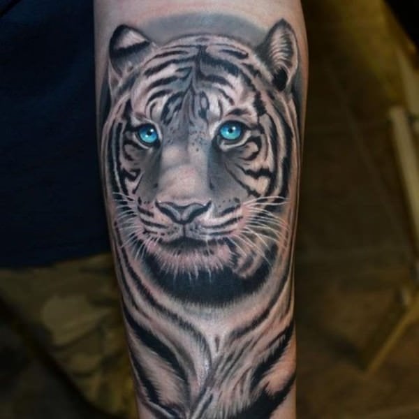 tatuaje tigre 1169