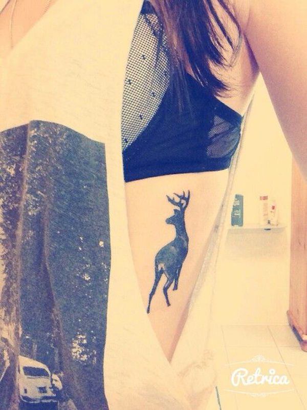 Tatuajes de animales, 62 fotos con ideas