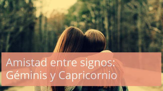 Geminis y Capricornio