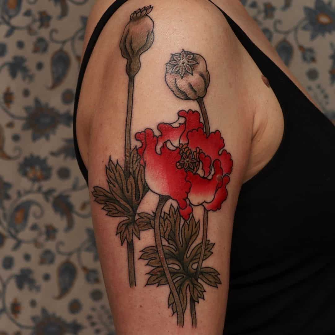 tatuaje amapolas 65
