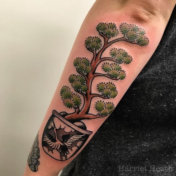 tatuaje bonsai 04