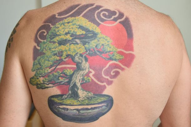 tatuaje bonsai 17