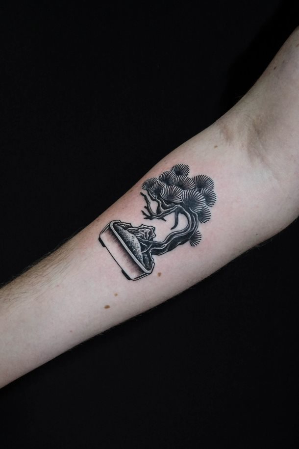tatuaje bonsai 29
