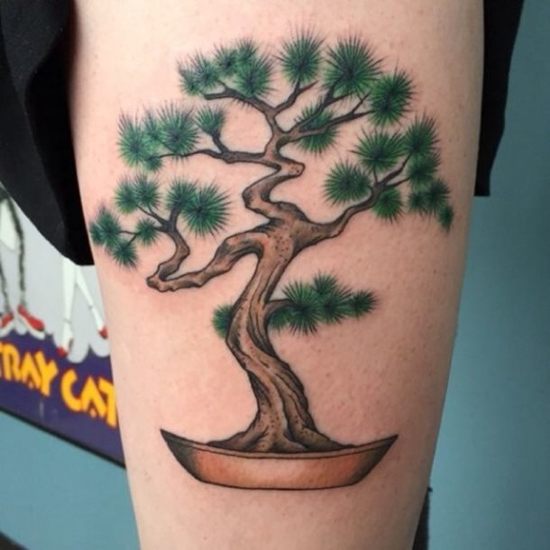 tatuaje bonsai 34