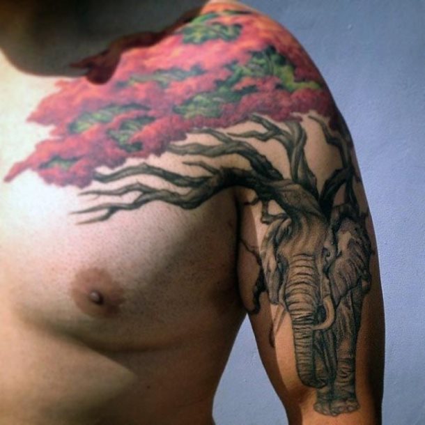 tatuaje bonsai 46