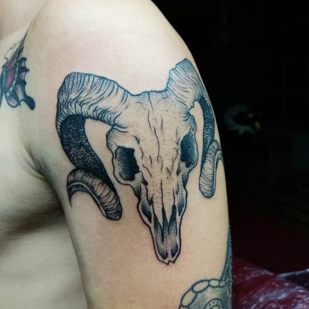 tatuaje calavera craneo cabra 05