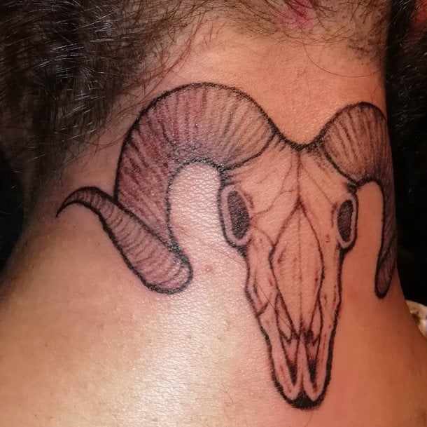 tatuaje calavera craneo cabra 17