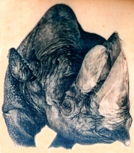 tatuaje rinoceronte 13