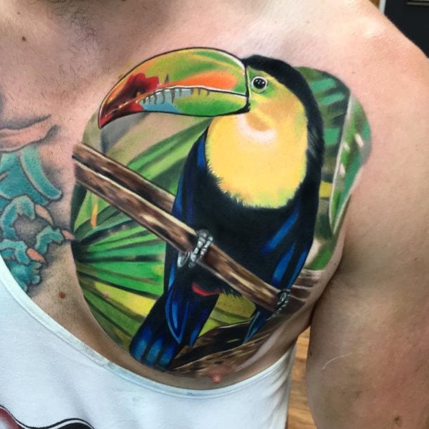 Tatuajes de tucanes – 35 diseños con mucho simbolismo