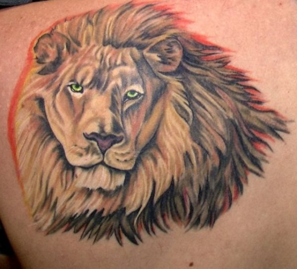 lion