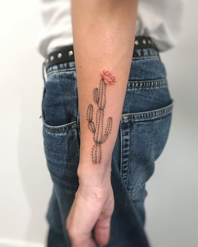 tattoo cactus 02