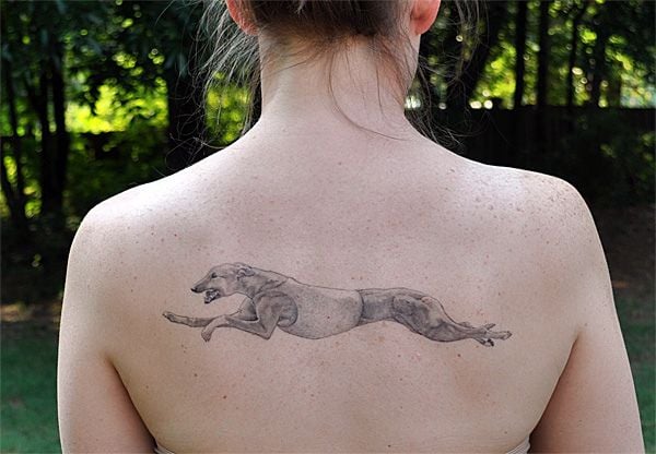 Tatuajes del Galgo – 40 diseños y significados