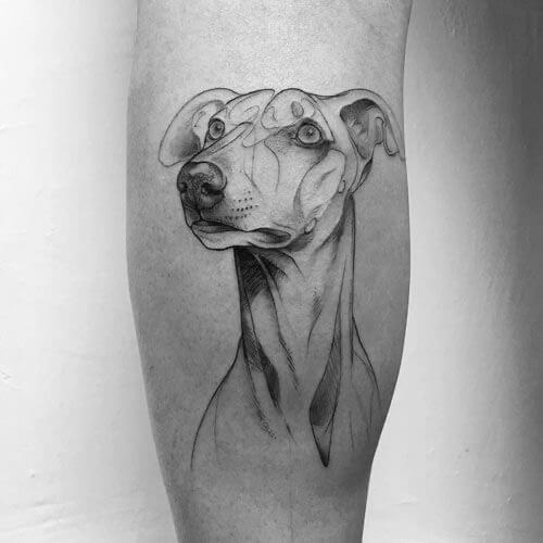 tattoo galgo 11