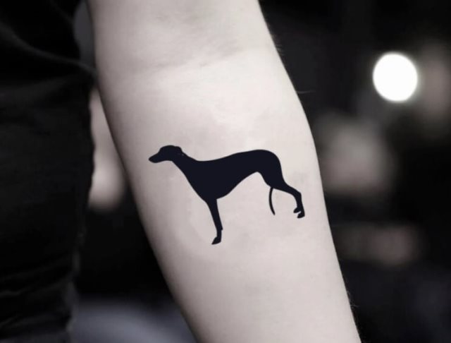 tattoo galgo 19