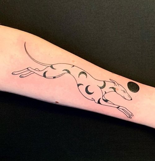 tattoo galgo 22