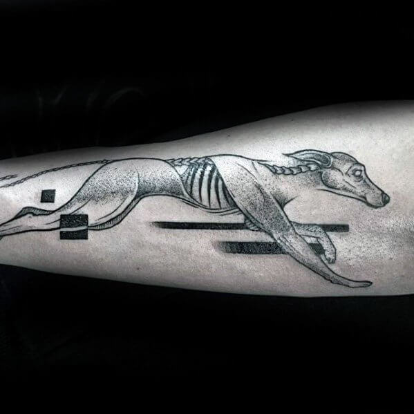 tattoo galgo 24