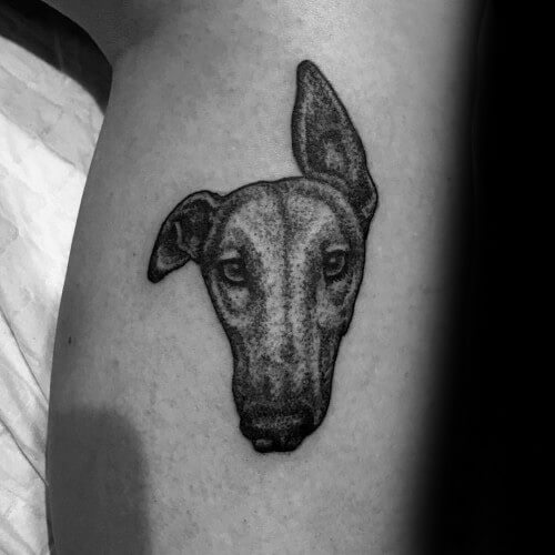 tattoo galgo 27