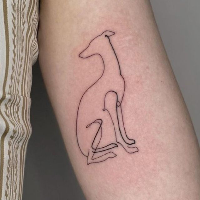 tattoo galgo 35