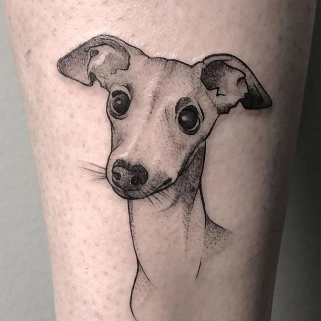 tattoo galgo 47