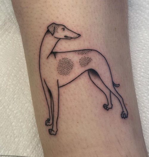 tattoo galgo 49