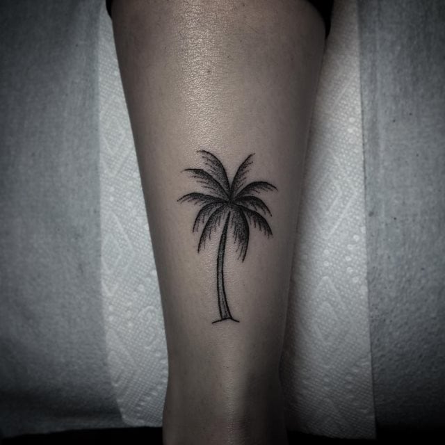 tattoo palmera 102