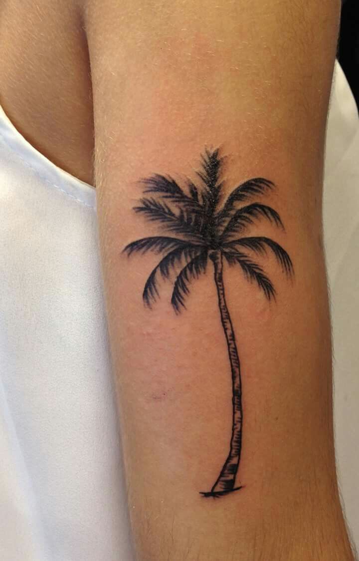 tattoo palmera 110