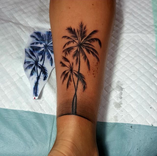tattoo palmera 186