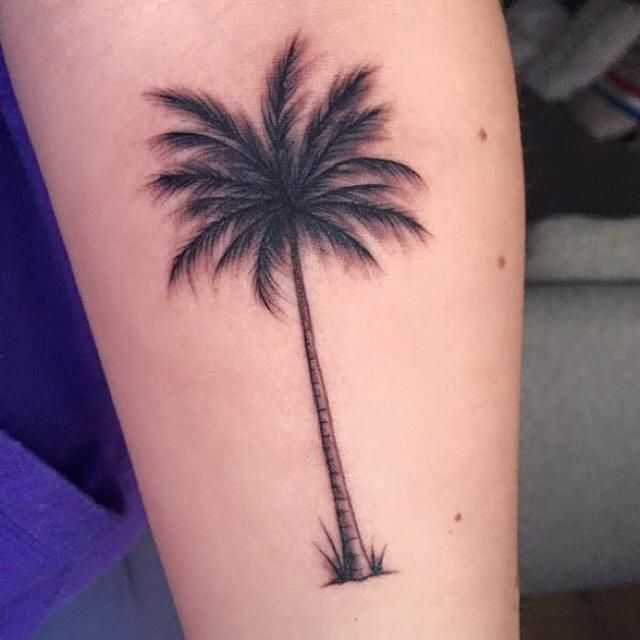 tattoo palmera 193