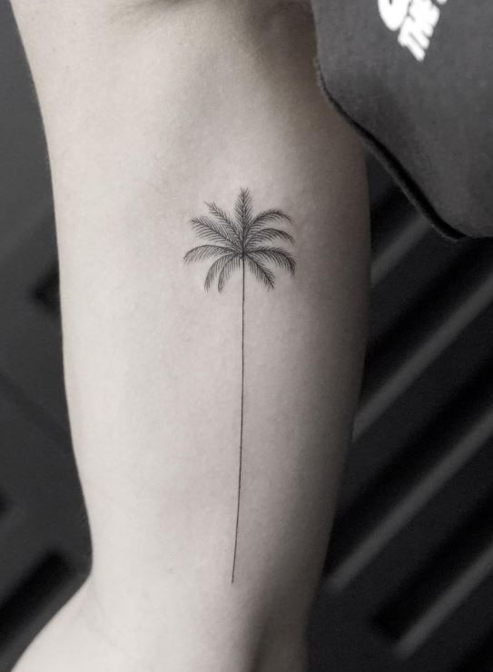 tattoo palmera 200