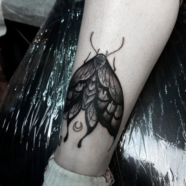 tattoo polilla 07