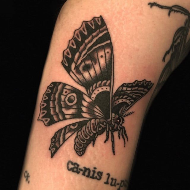 tattoo polilla 25