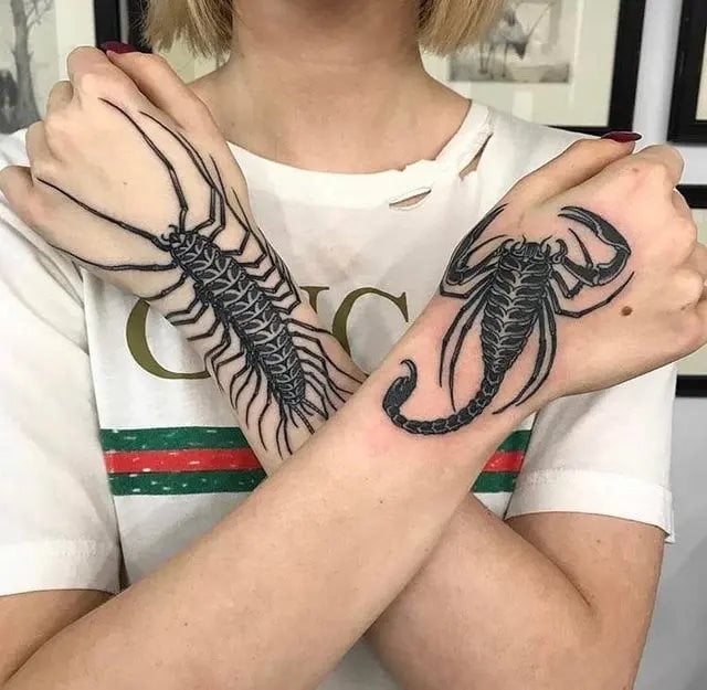 Tatuajes de Ciempiés – 35 diseños modernos y actuales