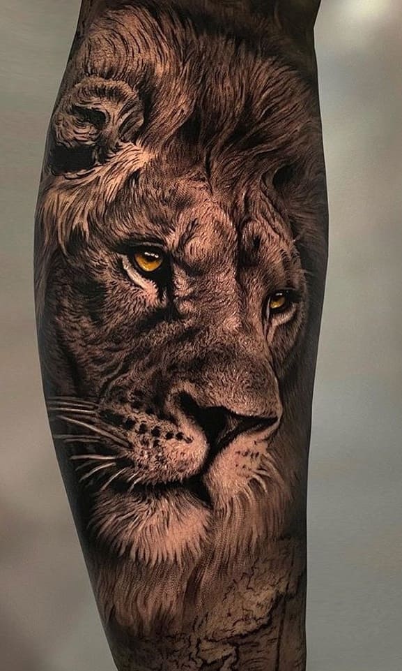 tatuaje de leon 53